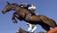 Horse Racing in Galway