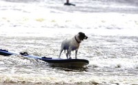 Surfing in Galway