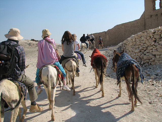 3173169789_74b5dfed88_z