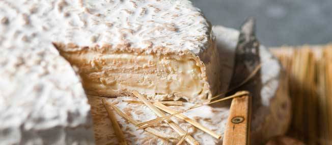 brie-melun-fromage-aoc-420033-jpg_282339