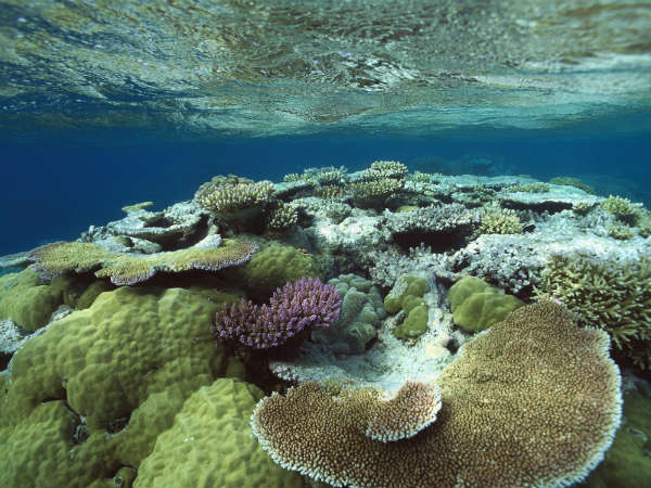 634967107233272954ifalos2