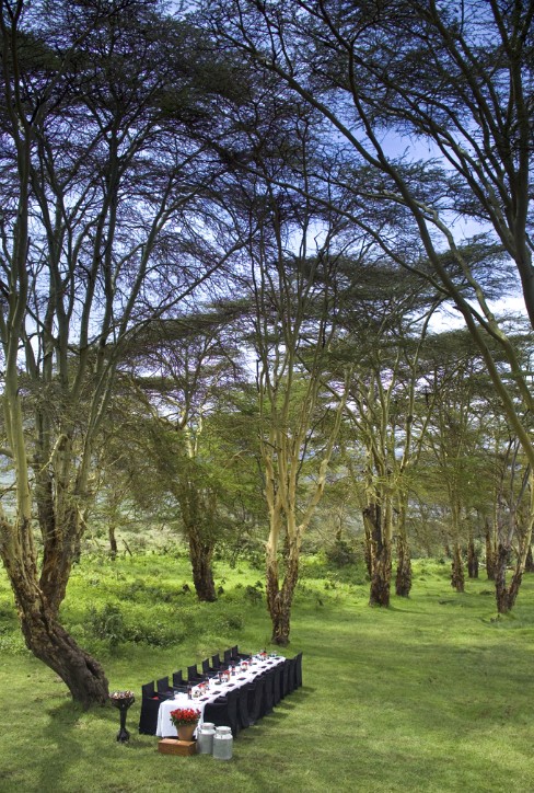 Ngorogoro Crater Lunch