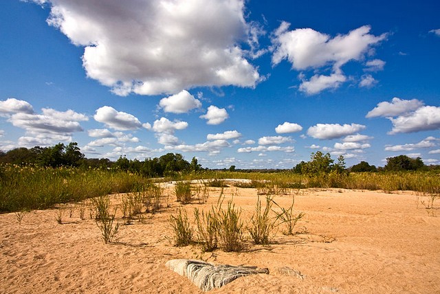 Kruger National Park 3