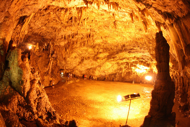 4641720589_d87cd45917_z