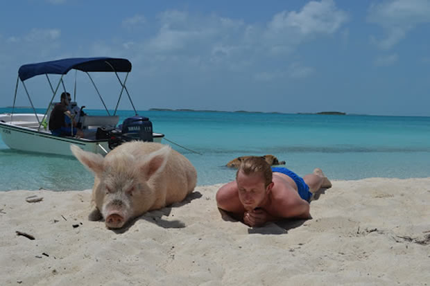 pig beach 4