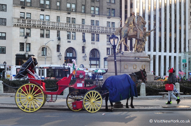 Central Park - Horse