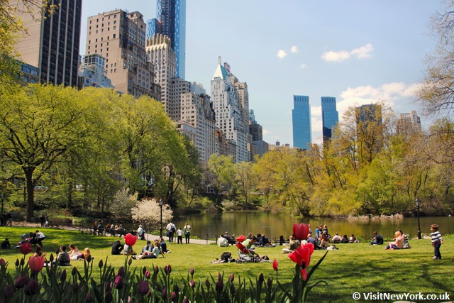 Central Park