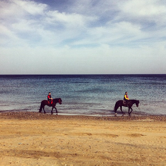 horesriding crete holidays