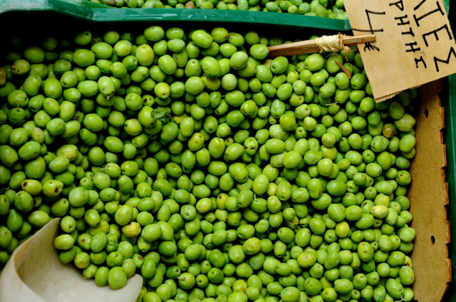 olives-crete holidays