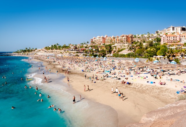 Holidays in Canaries Traditional Dishes 